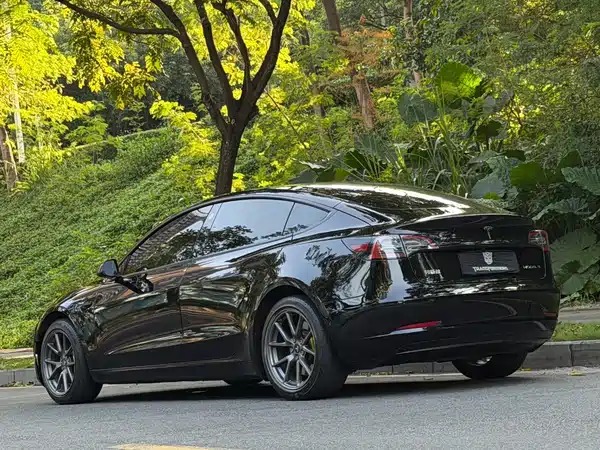 Tesla Model 3 2022, фото 4