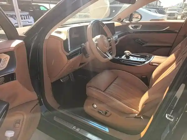 Hongqi H9 2024, фото 6