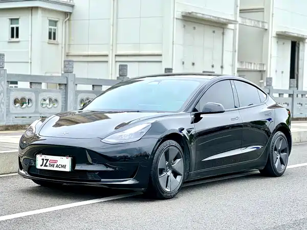 Tesla Model 3 2022