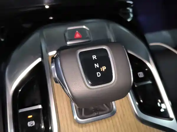 Hongqi E-HS9 2022, фото 14