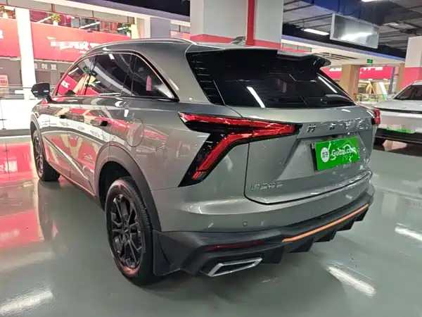 Haval Shenshou 2022, фото 4
