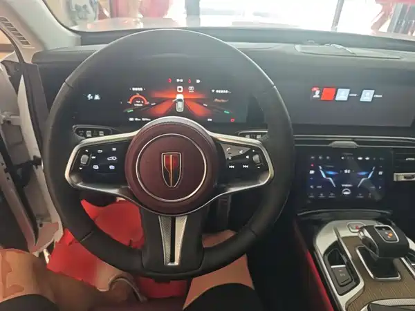 Hongqi E-HS9 2022, фото 11