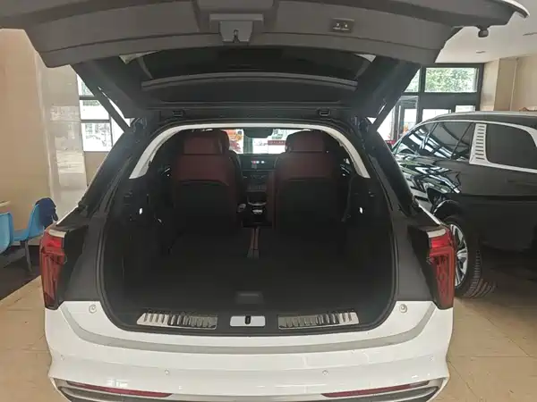 Hongqi E-HS9 2022, фото 19