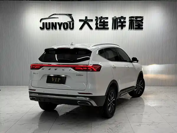 Haval H6 2023, фото 4
