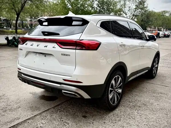 Haval H6 2023, фото 6