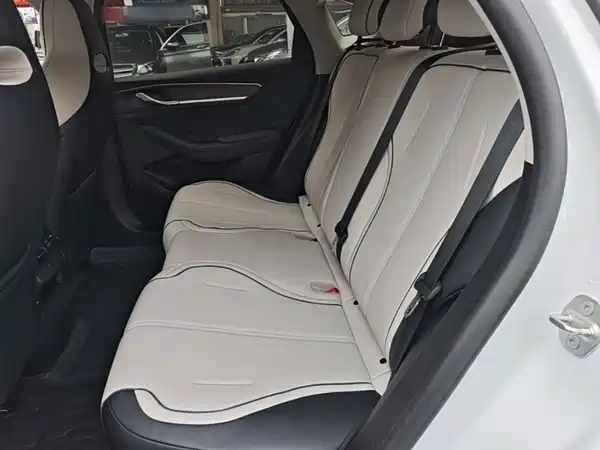 BYD Destroyer 05 2024, фото 16