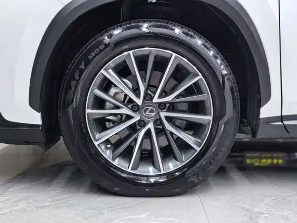 Lexus NX 2023, фото 36