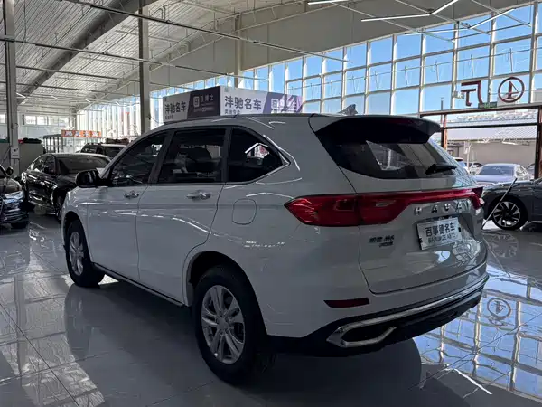 Haval M6 2021, фото 7