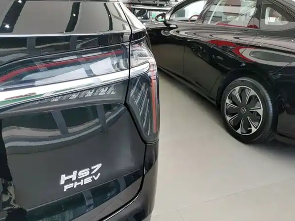 Hongqi HS7 PHEV 2024, фото 8