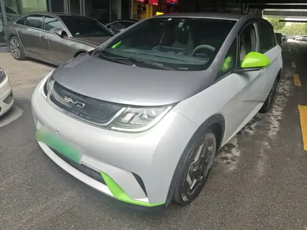 BYD Dolphin 2021