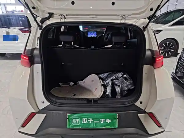 BYD Seagull 2024, фото 18