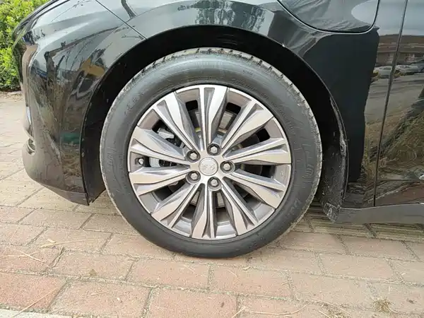 Hongqi E-QM5 2022, фото 22