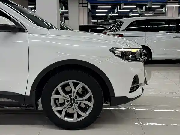 Haval H6 2021, фото 4