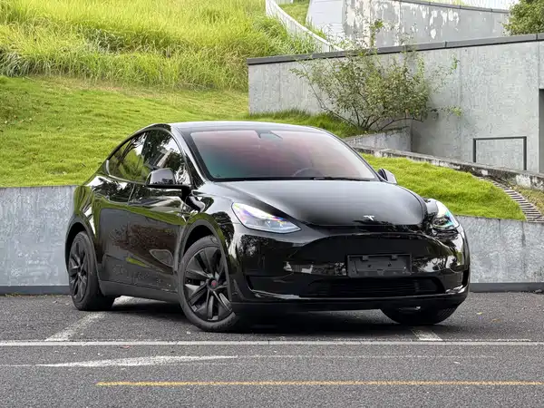 Tesla Model Y 2022, фото 3