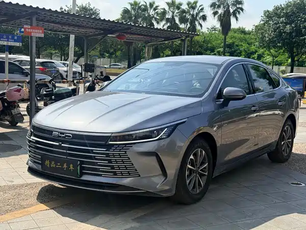 BYD Destroyer 05 2024