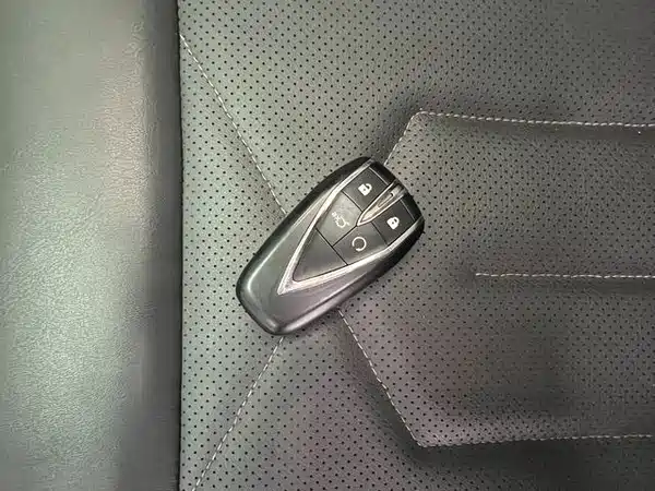 Changan Ruicheng PLUS 2023, фото 20