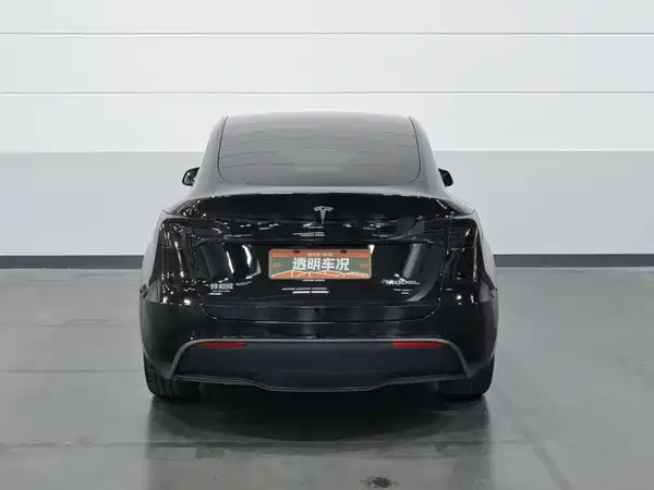 Tesla Model Y 2022, фото 4