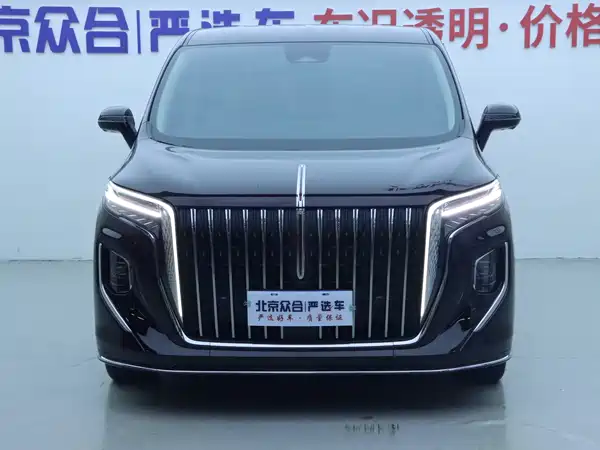 Hongqi HQ9 2023, фото 3