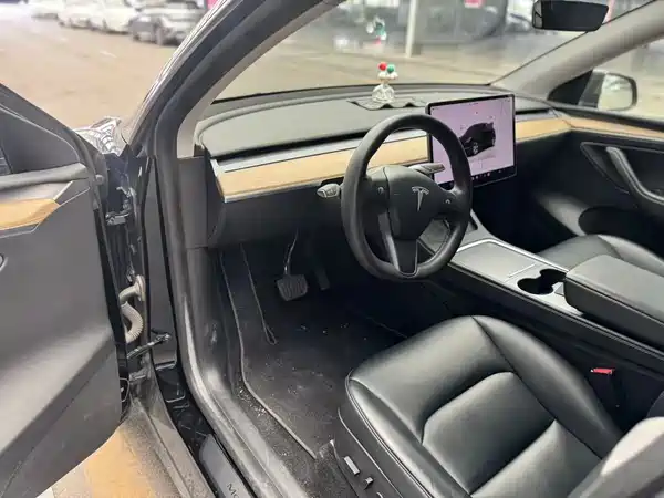 Tesla Model Y 2022, фото 4