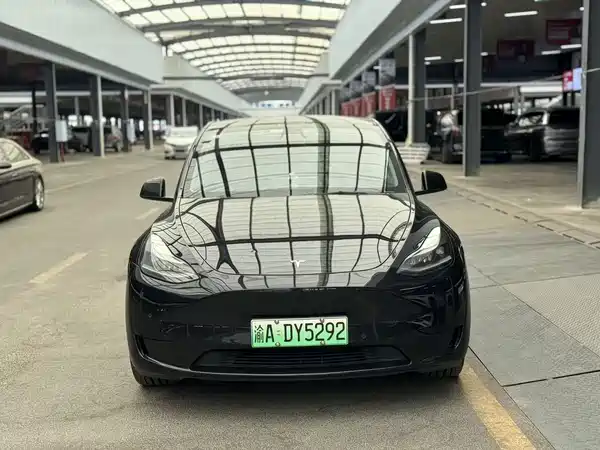 Tesla Model Y 2022, фото 2