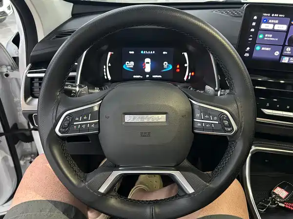 Haval H6 2023, фото 10