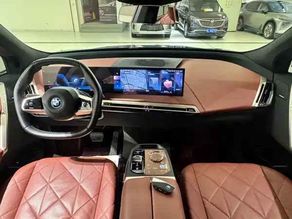 BMW iX 2022, фото 10