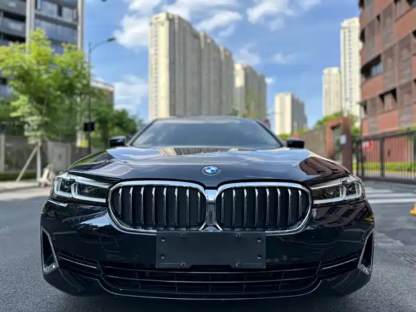 BMW 5 Series 2022, фото 31