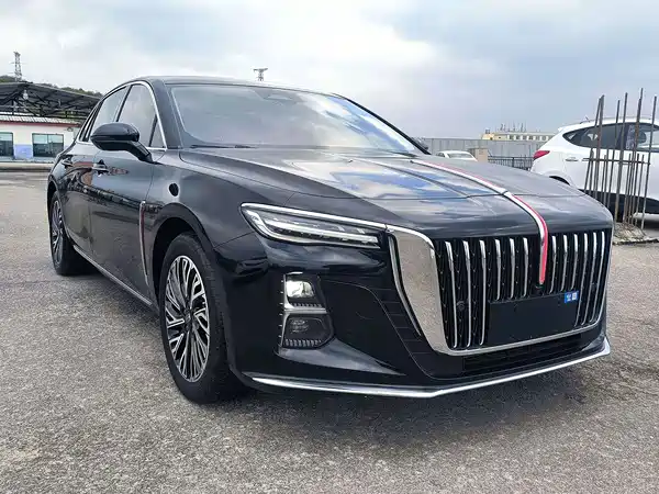 Hongqi H5 2023, фото 3