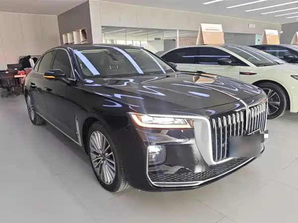 Hongqi H9 2023, фото 3