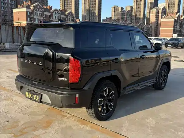 Haval Cool Dog 2022, фото 5