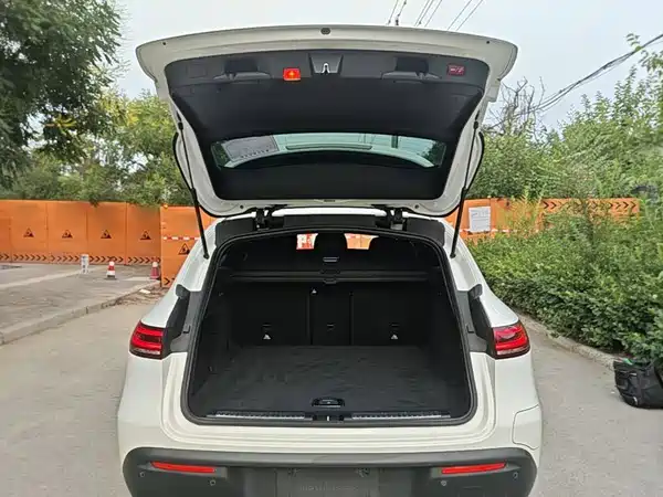 Mercedes-Benz EQC 2021, фото 18