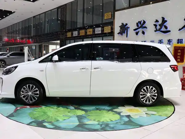 Buick GL8 2022, фото 3