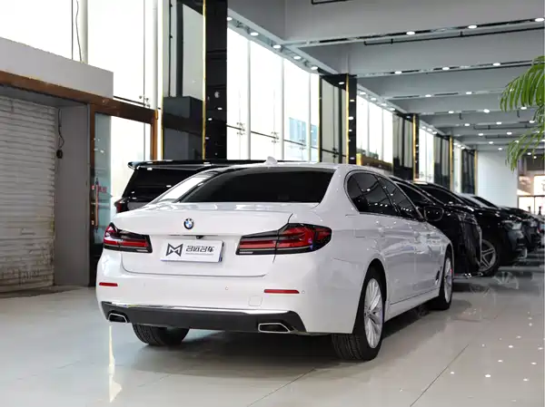 BMW 5 Series 2022, фото 16