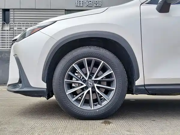 Lexus NX 2023, фото 16