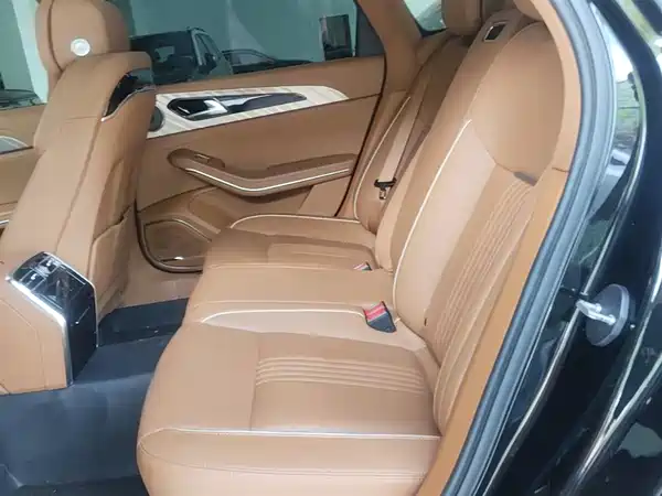 Hongqi H9 2022, фото 16