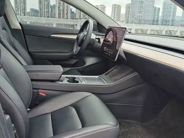 Tesla Model 3 2022, фото 13