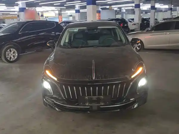 Hongqi E-QM5 2022, фото 2