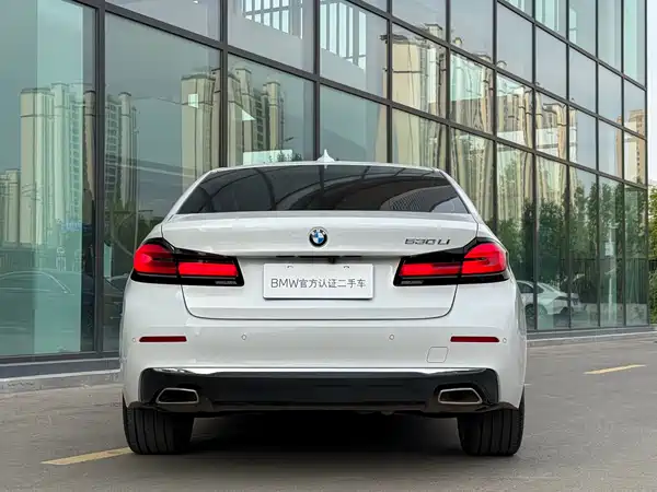 BMW 5 Series 2022, фото 24
