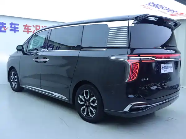 Hongqi HQ9 2023, фото 31