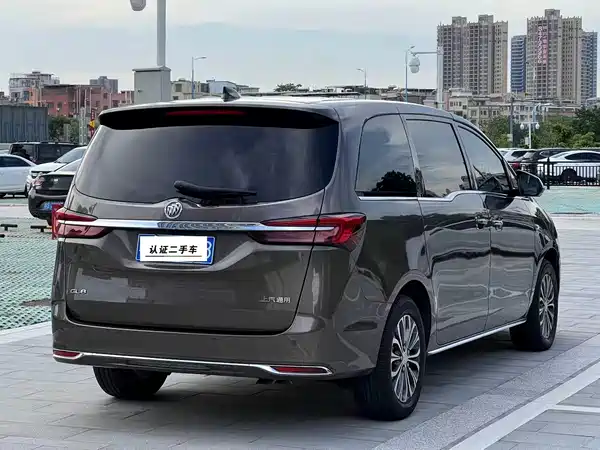 Buick GL8 2023, фото 9