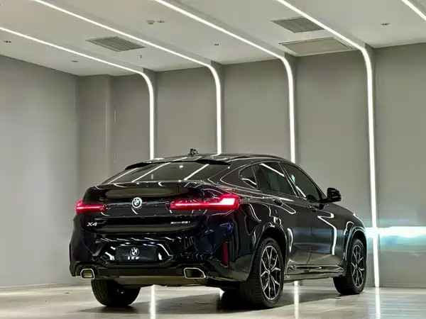 BMW X4 2022, фото 7
