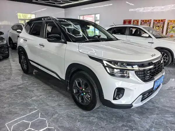 Kia Seltos 2023, фото 2