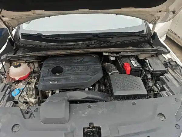 Geely Emgrand S 2021, фото 19