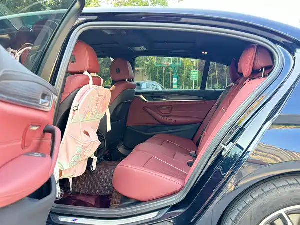 BMW 5 Series PHEV 2022, фото 8