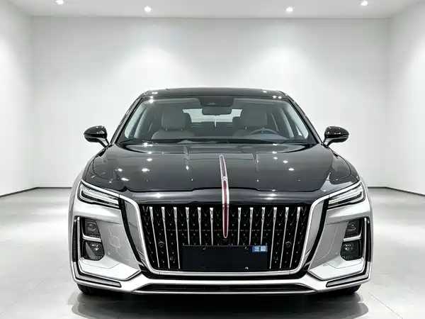 Hongqi H5 2023, фото 2