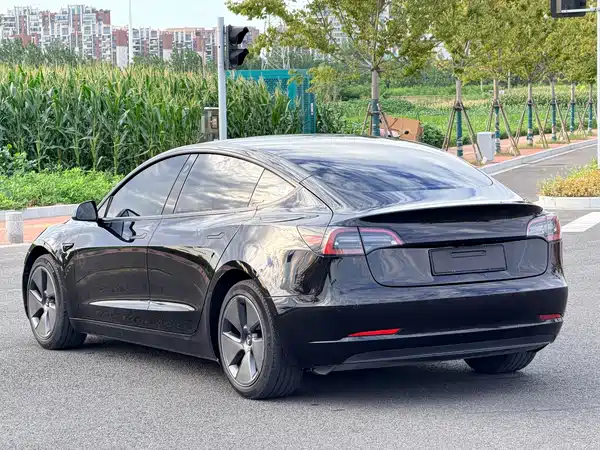 Tesla Model 3 2023, фото 9