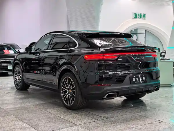 Porsche Cayenne 2022, фото 3