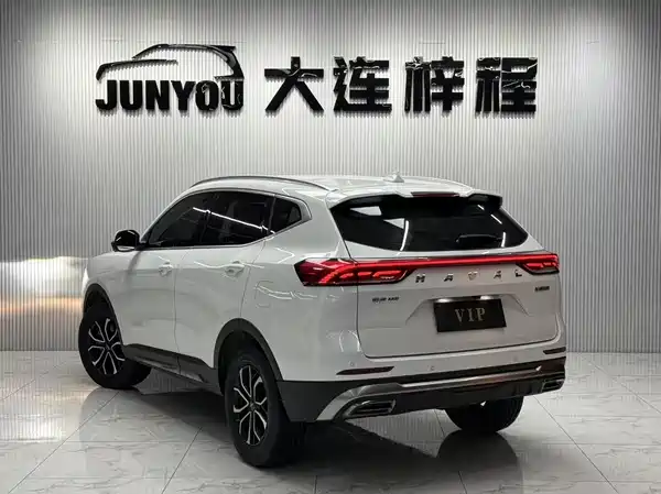 Haval H6 2023, фото 6