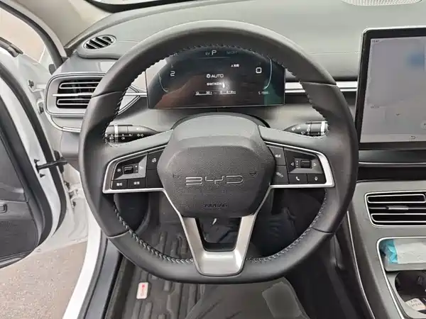 BYD Destroyer 05 2024, фото 10