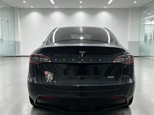 Tesla Model Y 2022, фото 5